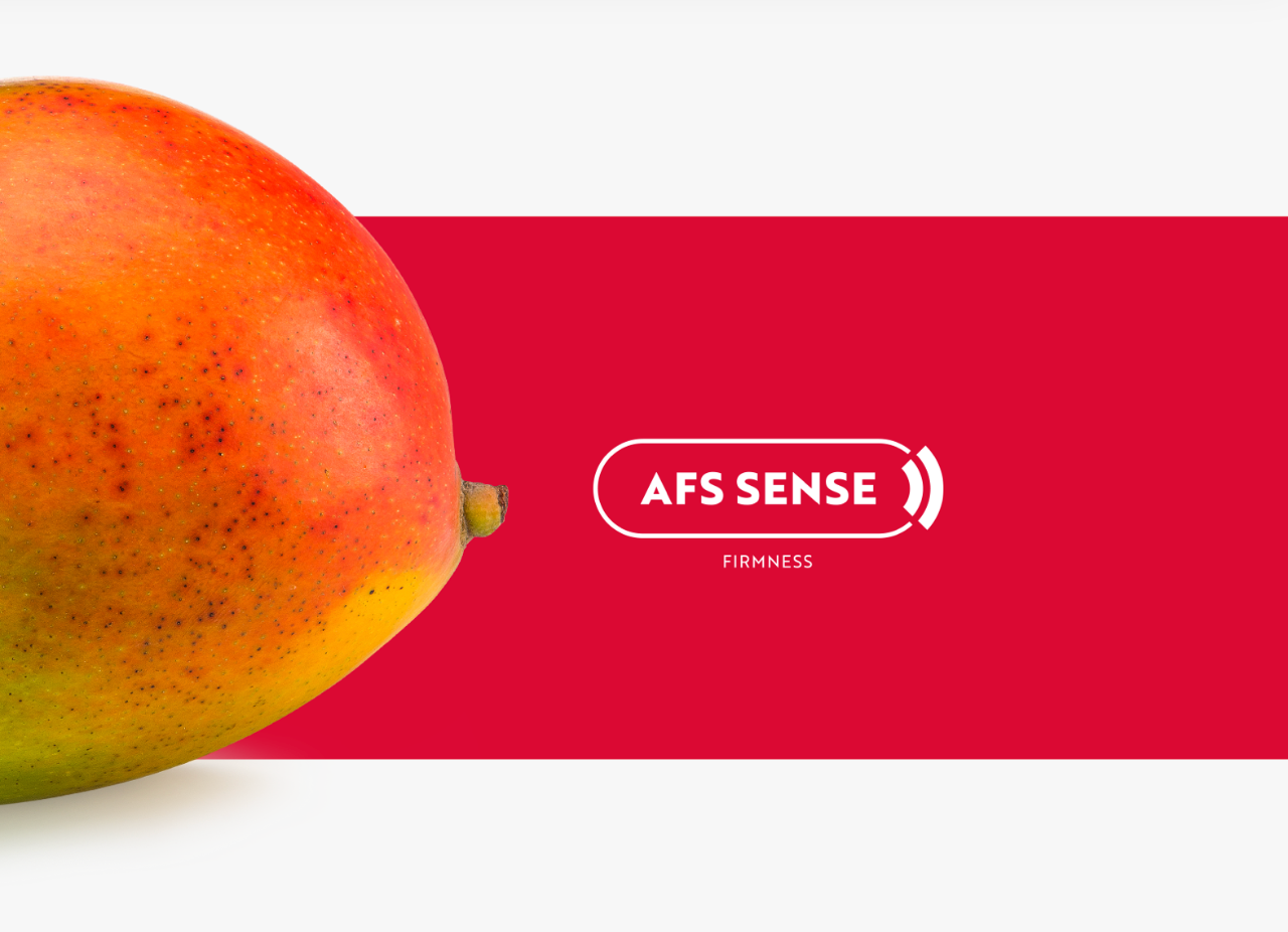 Aweta Mango Sorting and Packing Line