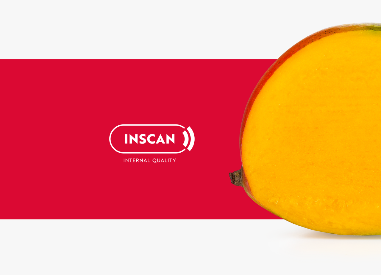 Aweta Mango Sorting and Packing Line