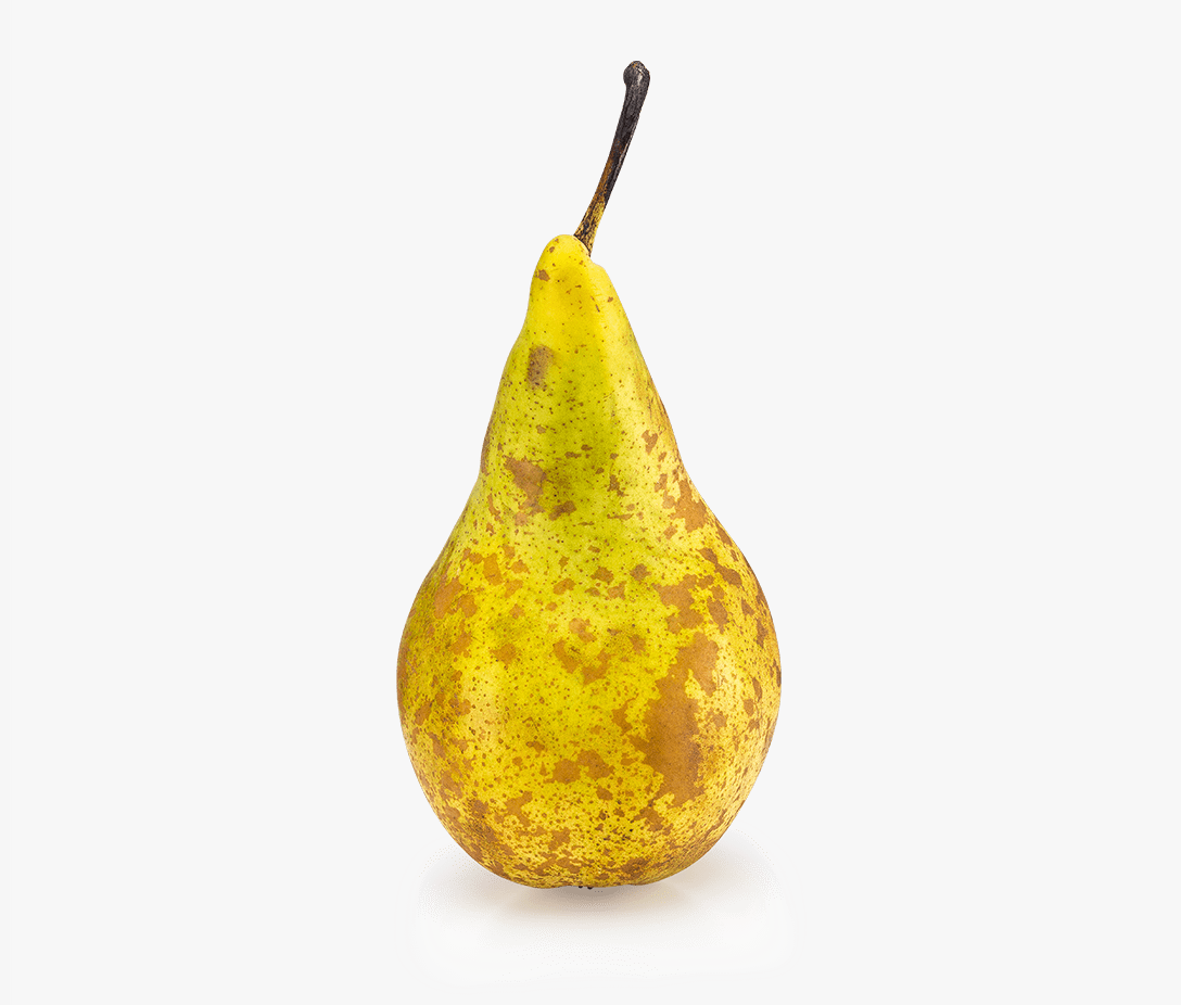 Aweta Pear Sorting and Packing Line