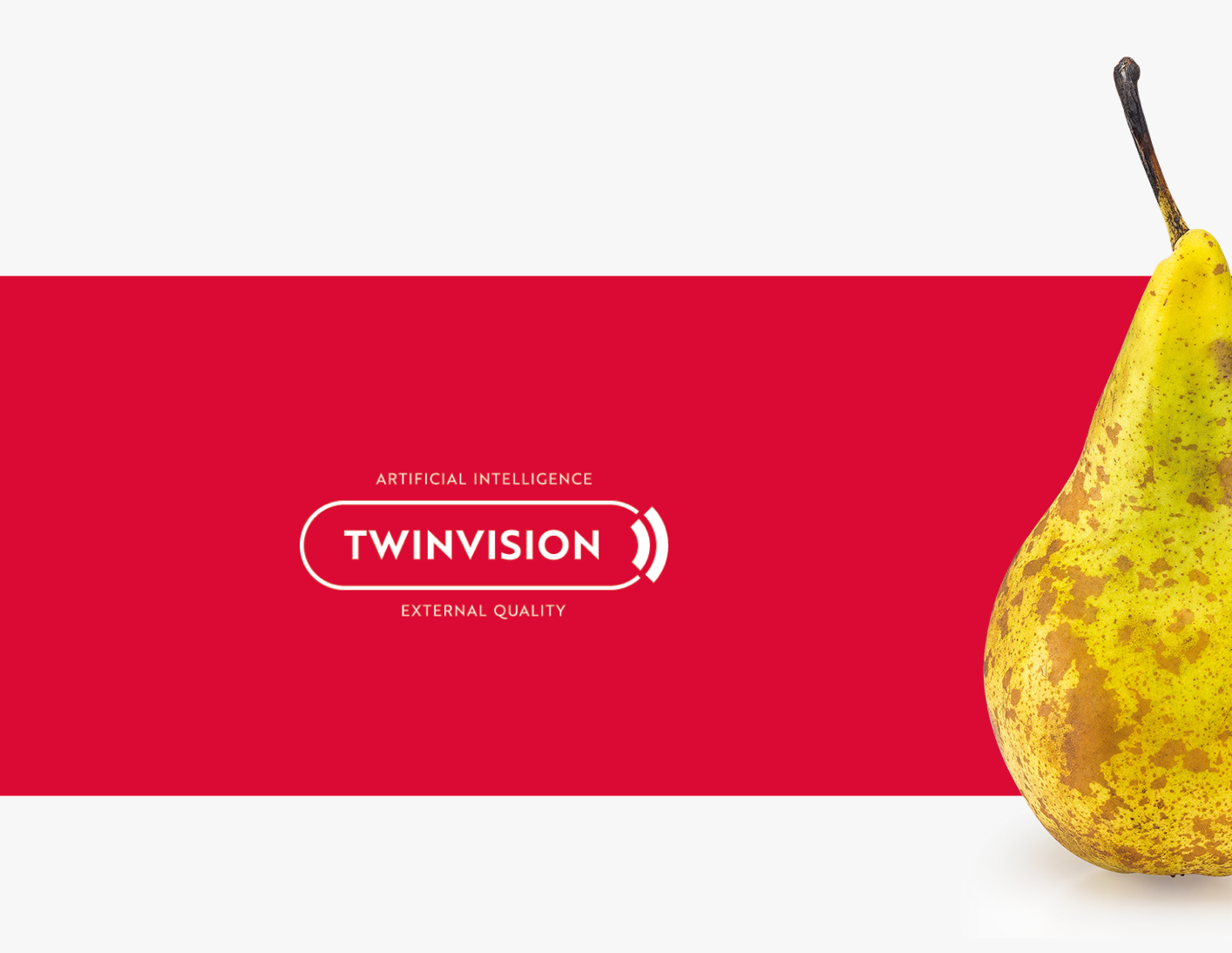 Aweta Pear Sorting and Packing Line