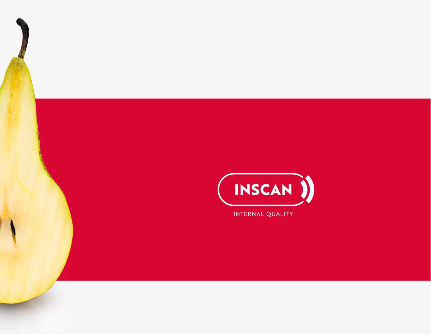 Aweta Pear Sorting and Packing Line