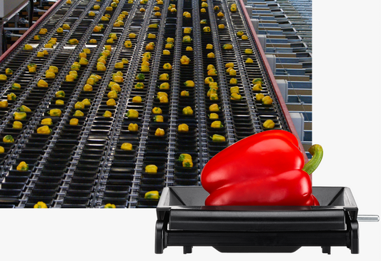 Aweta Pepper Sorting and Packing Line