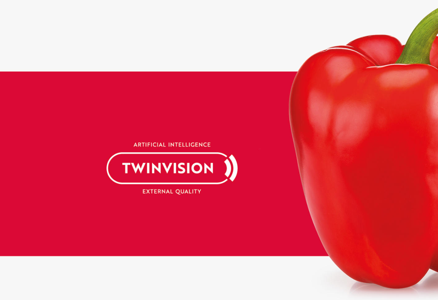 Aweta Pepper Sorting and Packing Line