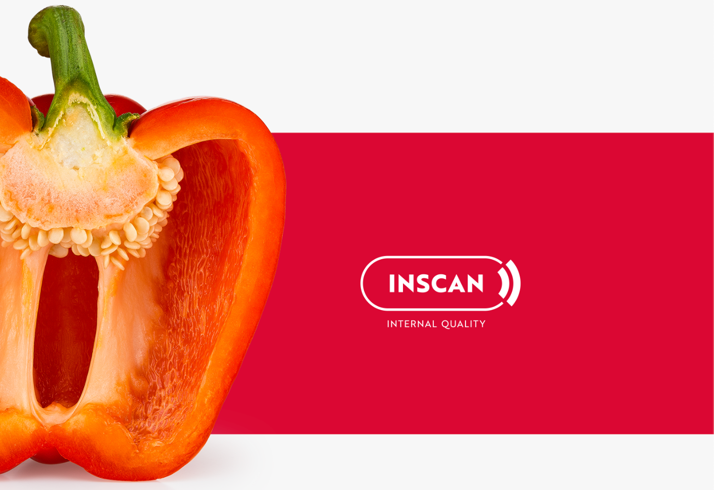 Aweta Pepper Sorting and Packing Line