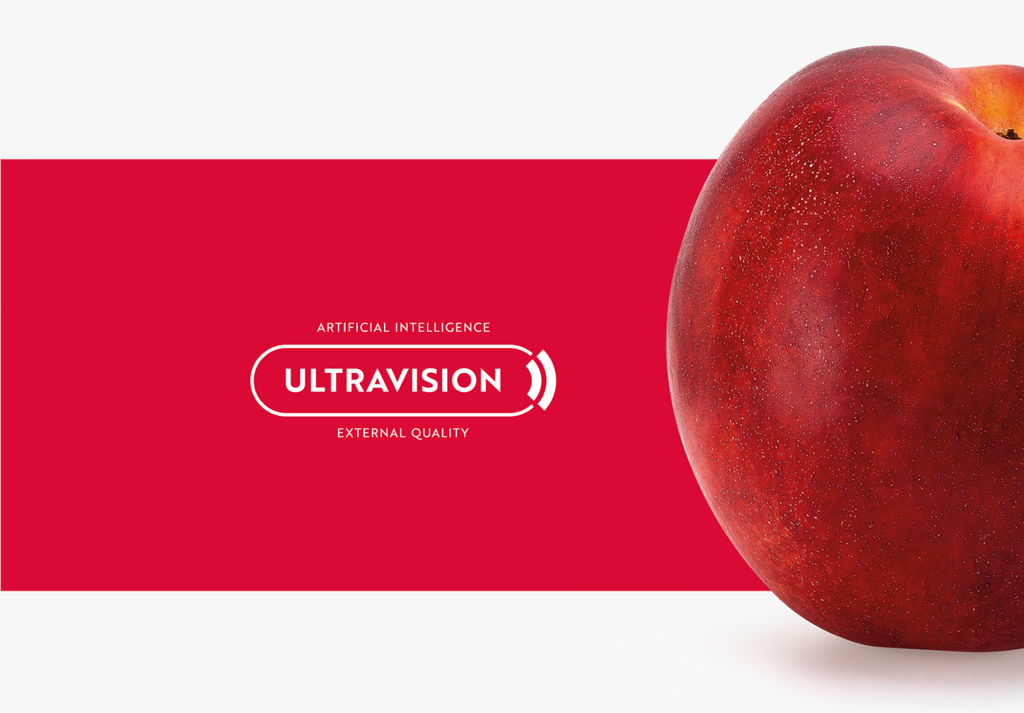 Aweta Stonefruit Sorting and Packing Line