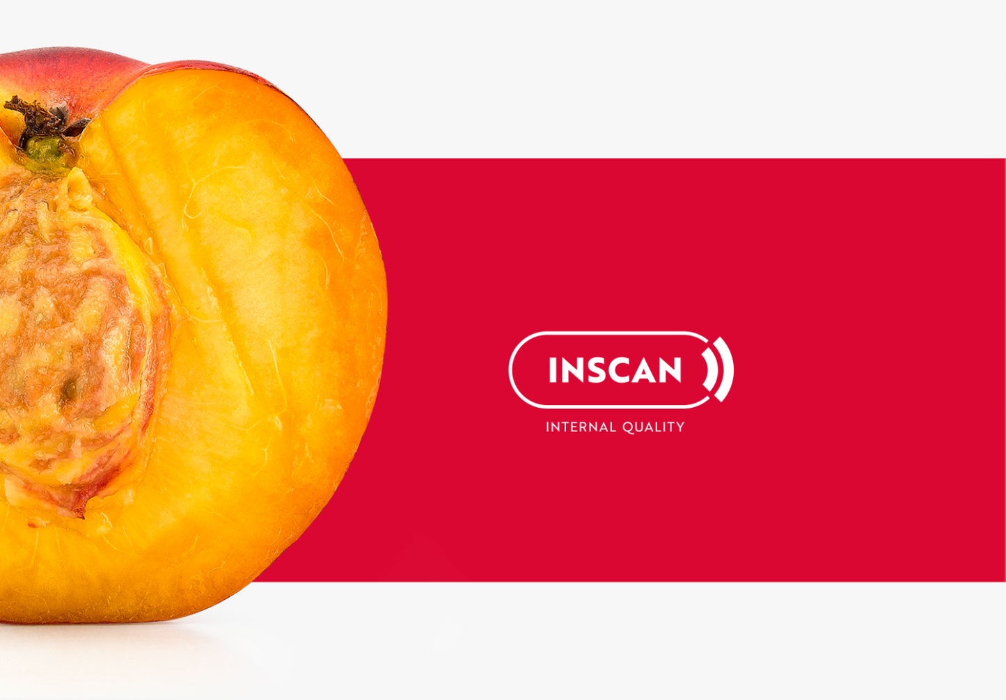 Aweta Stonefruit Sorting and Packing Line