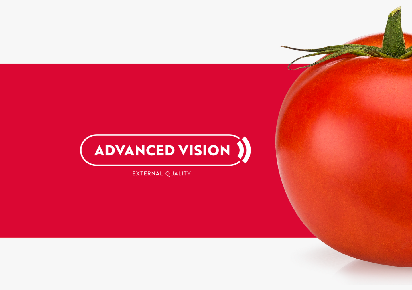 Aweta Tomato Sorting and Packing Line