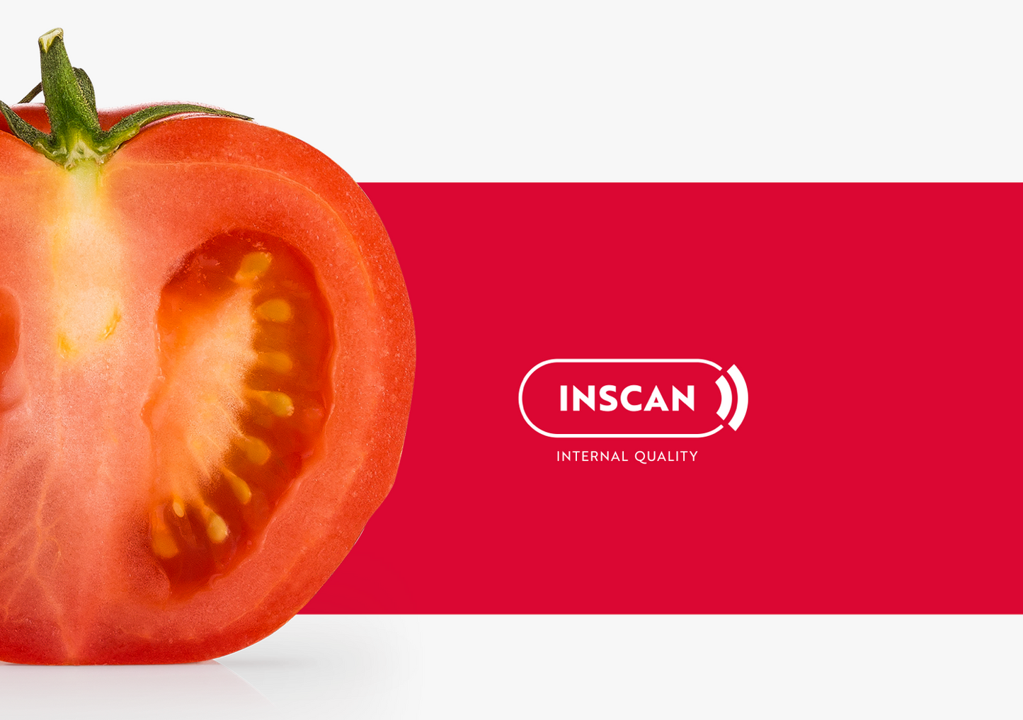 Aweta Tomato Sorting and Packing Line