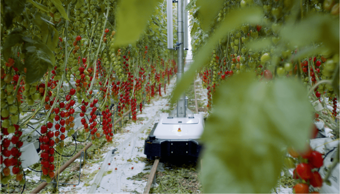 Viscon EVA Scoutr Autonomous Pest Monitoring