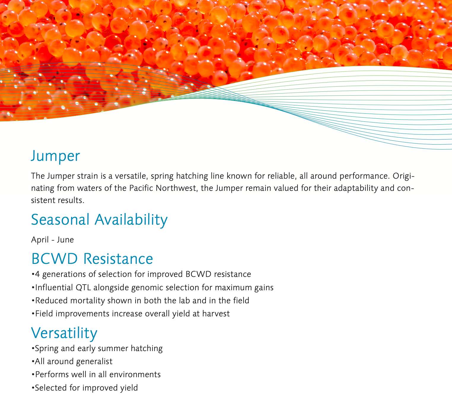 Jumper Trout Eggs WA aquaculture online shopping