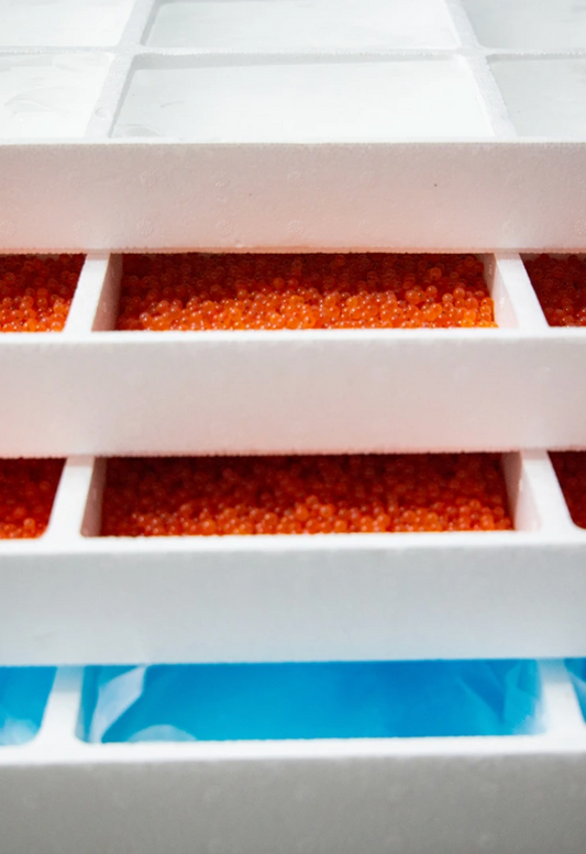 Brown Trout Eggs ZA aquaculture online shopping