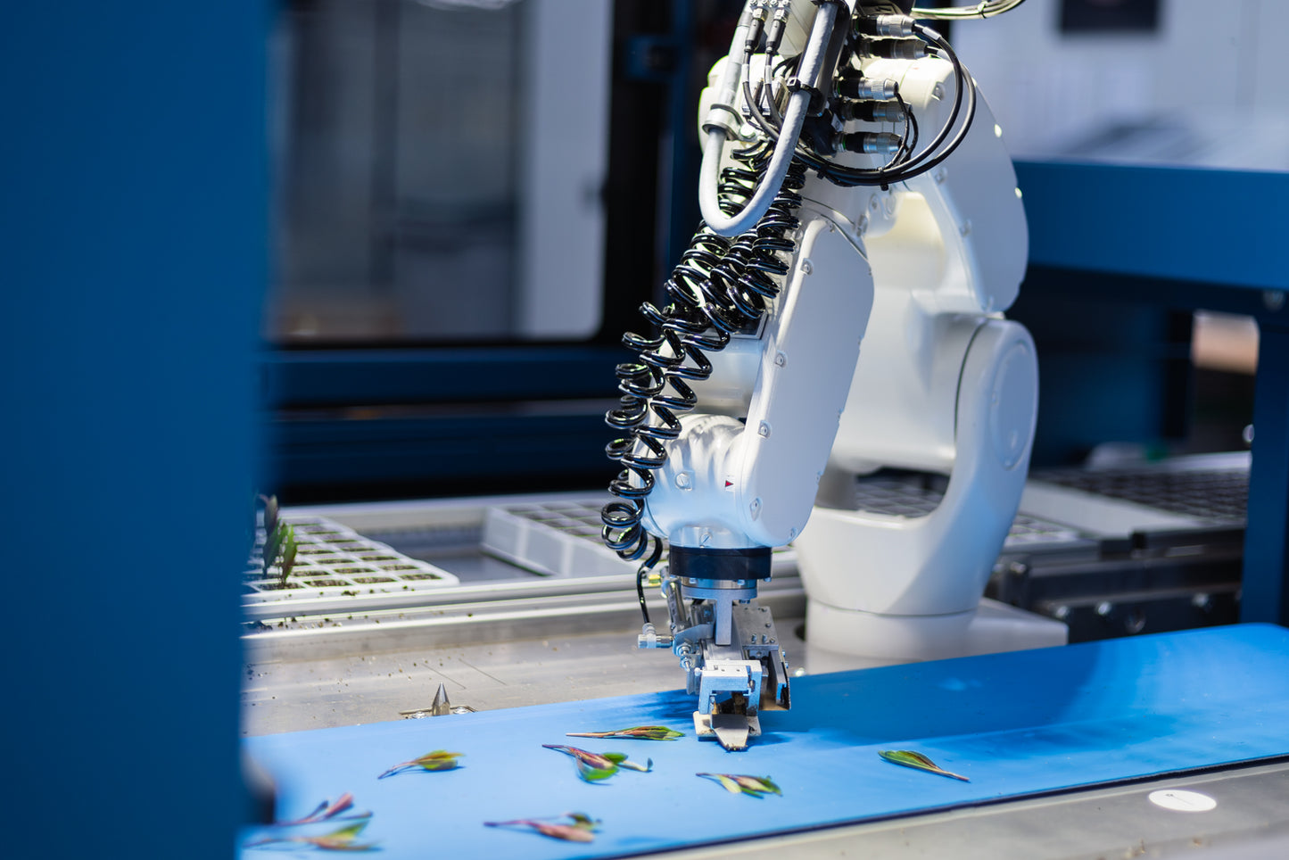 TTA ISO CuttingEdge Double Cutting Selector Planter