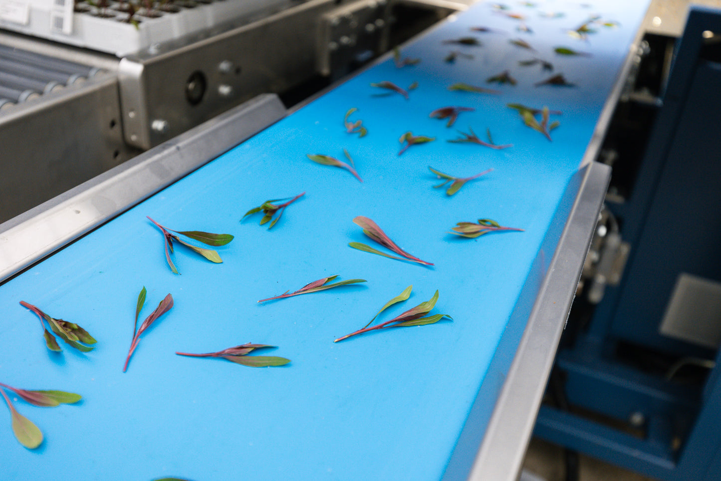 TTA ISO CuttingEdge Double Cutting Selector Planter