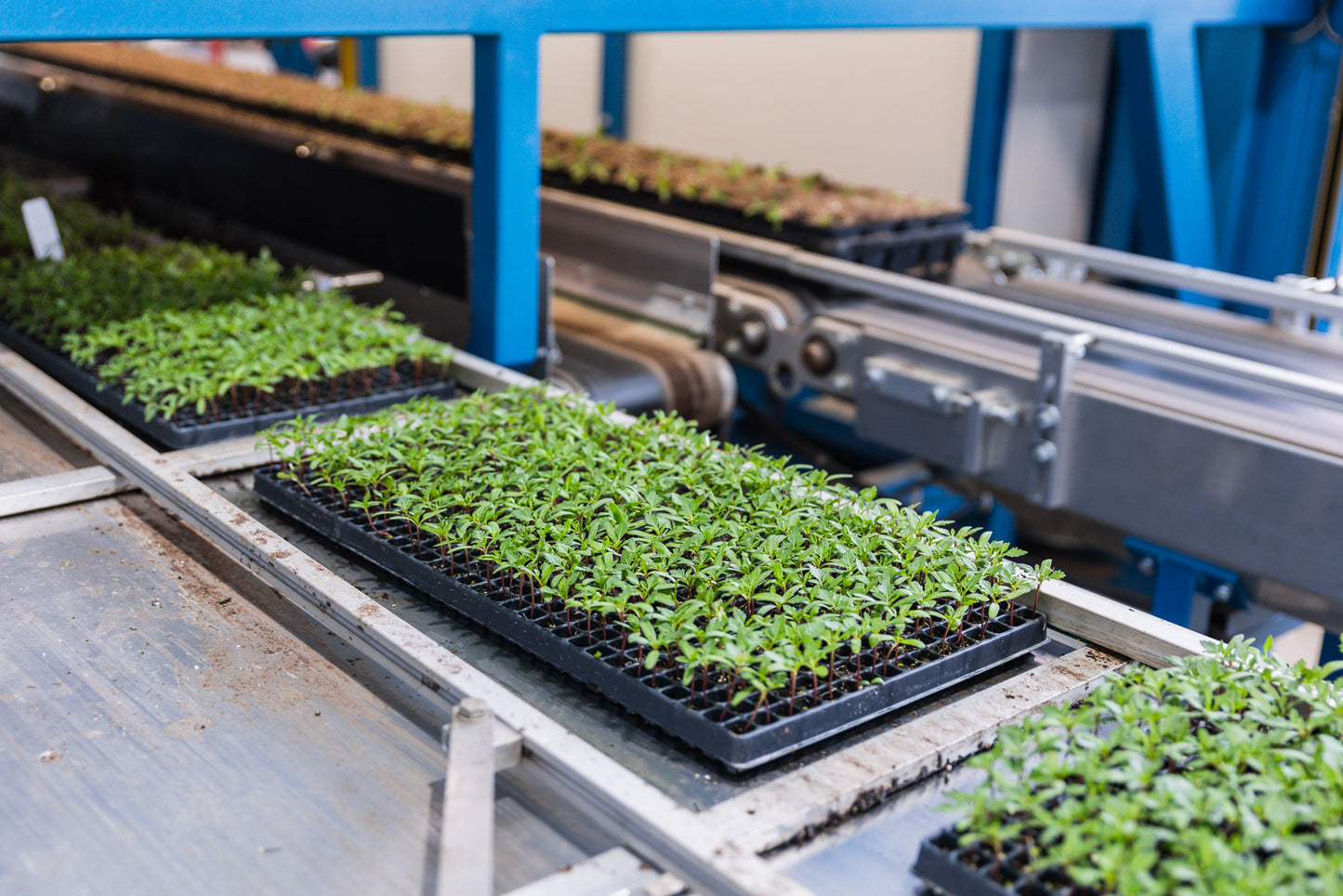 TTA ISO FlexPlanter Plug Selector