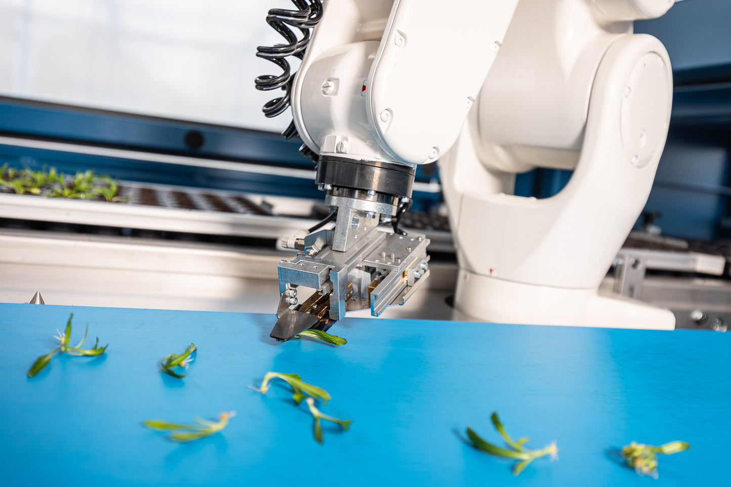 TTA ISO CuttingEdge Cutting Selector Planter