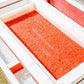 Kamloops Trout Eggs WA