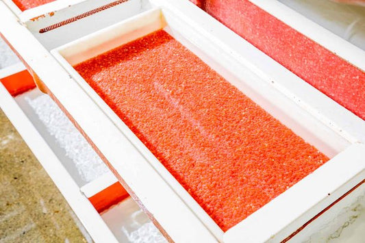 Steelhead Trout Eggs WA