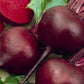 Detroit Supreme Beet Seeds online shopping