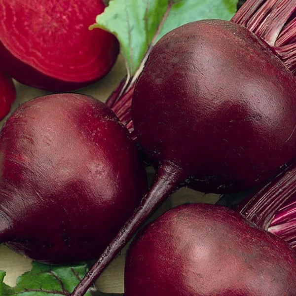Detroit Supreme Beet Seeds online shopping
