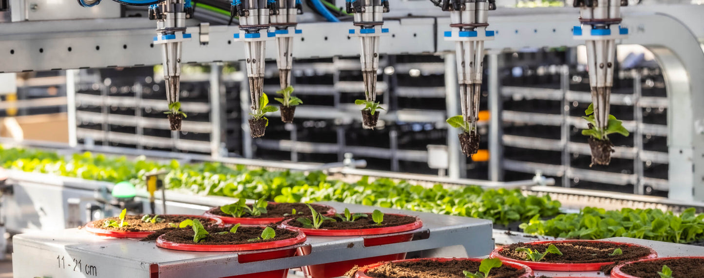 Viscon Pic O Mat Redline Transplanter