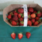 AC St-Laurent d'Orléans Late Season Strawberry