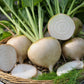 Avalanche Beet Seeds online shopping