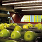 Aweta Apple Sorting and Packing Line