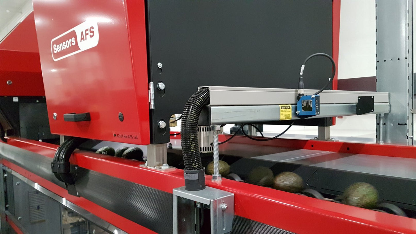 Aweta Avocado Sorting and Packing Line