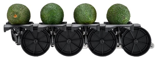 Aweta Avocado Sorting and Packing Line