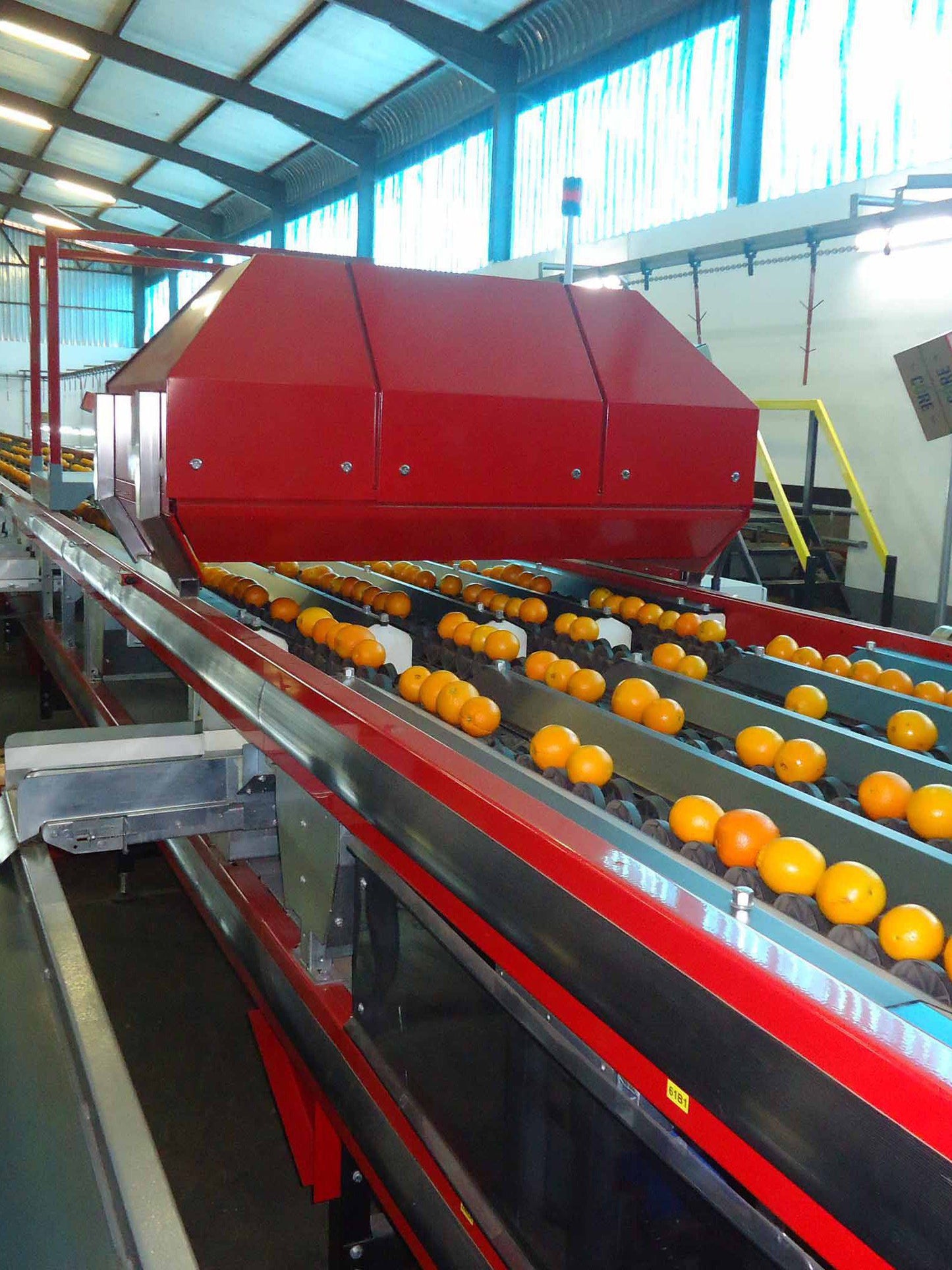 Aweta Citrus Sorting and Packing Line
