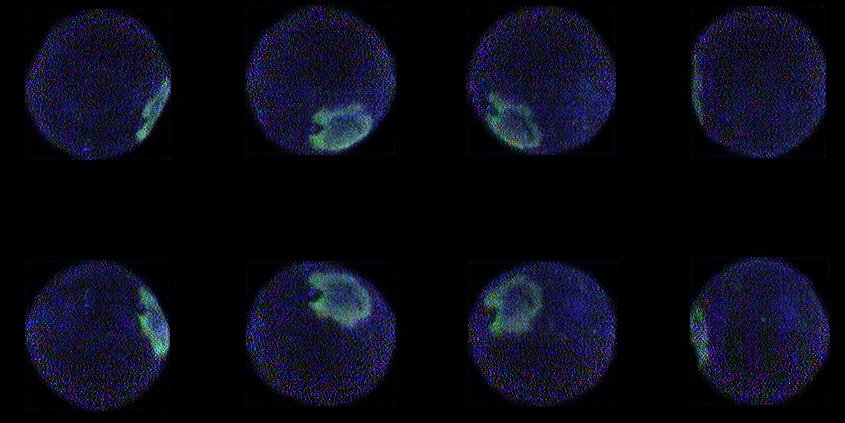 Aweta Citrus Sorting and Packing Line