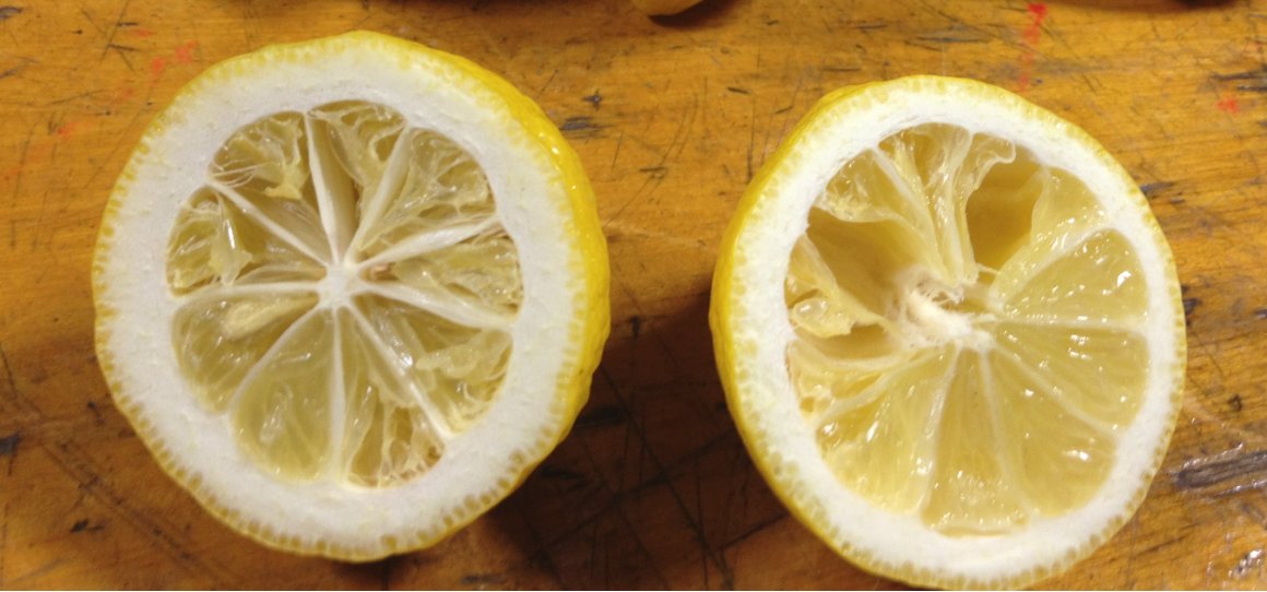 Aweta Citrus Sorting and Packing Line