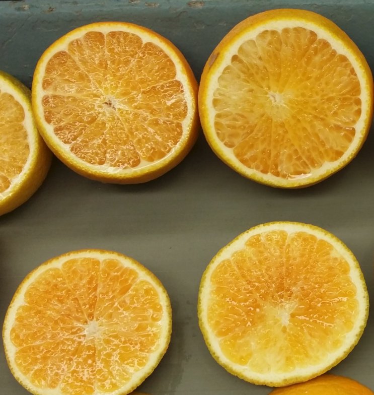 Aweta Citrus Sorting and Packing Line