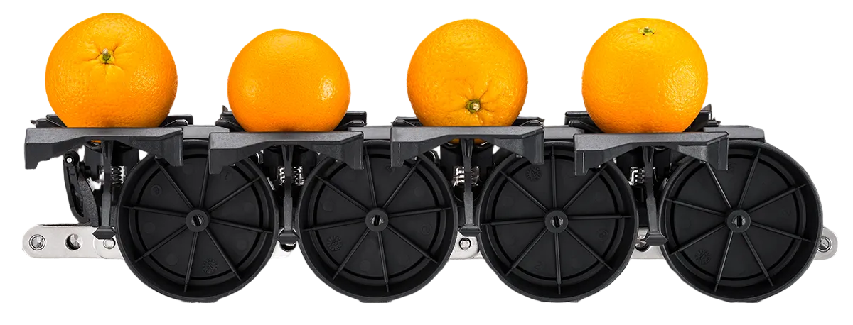 Citrus sorting and packing automation.