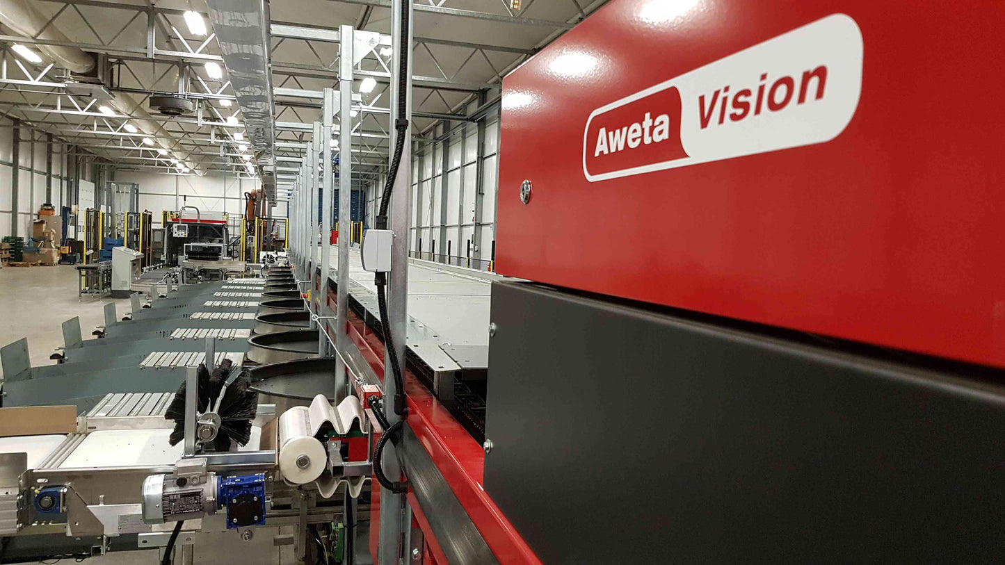 Aweta Cucumber Sorting and Packing Line