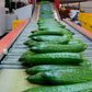 Aweta Cucumber Sorting and Packing Line