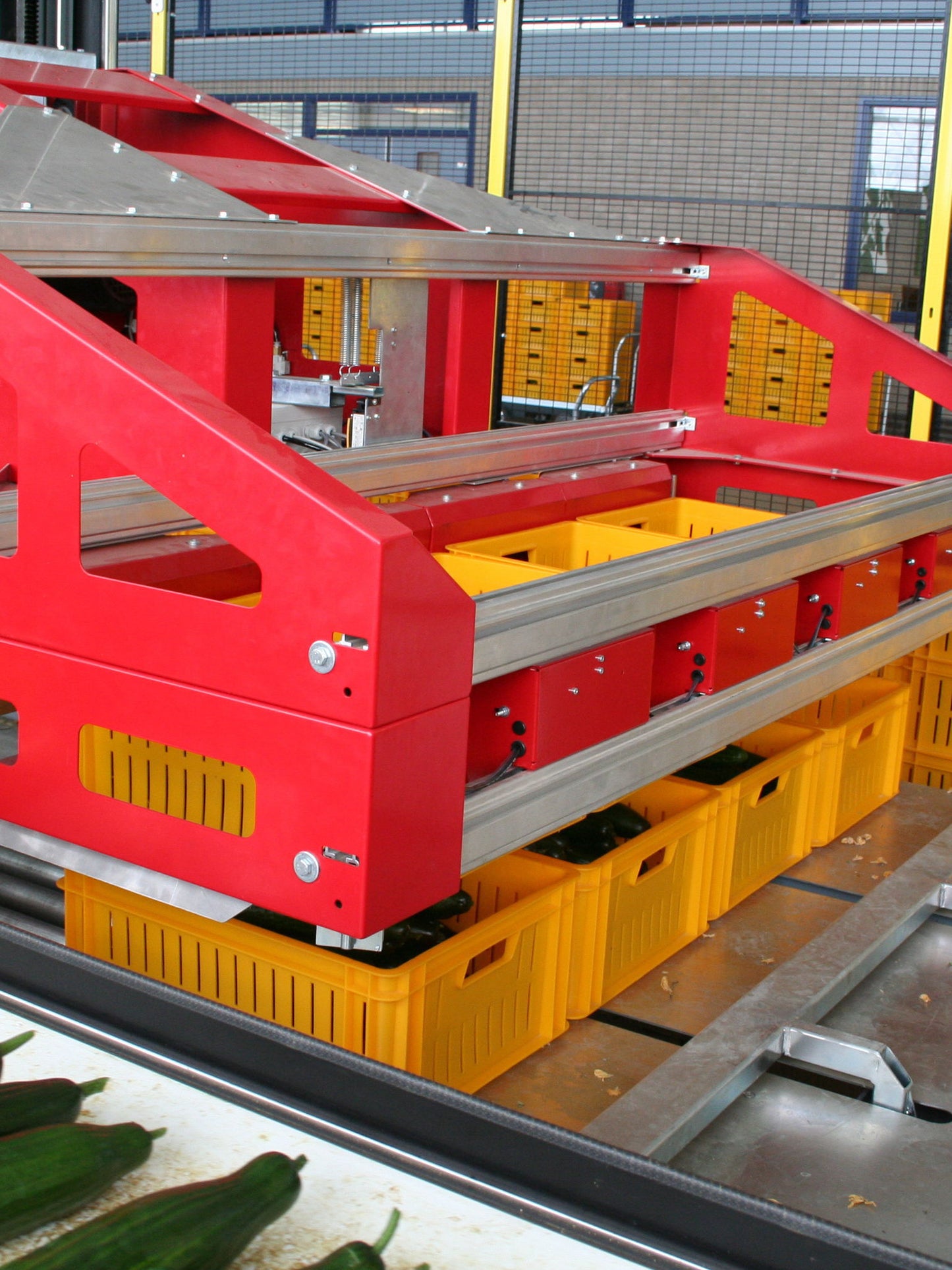 Aweta Cucumber Sorting and Packing Line