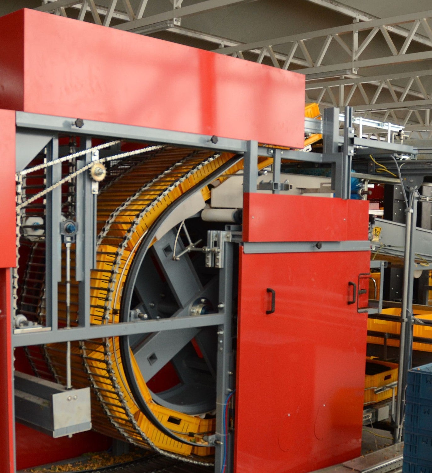 Aweta Cucumber Sorting and Packing Line