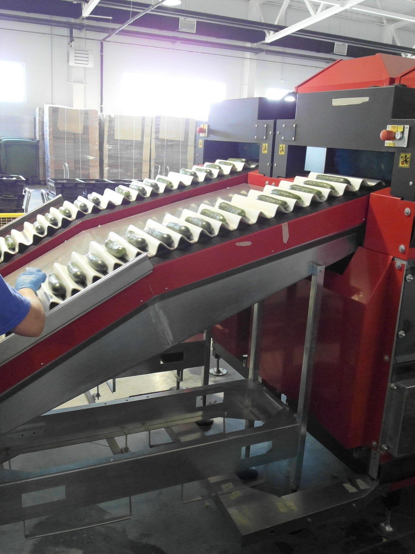 Aweta Cucumber Sorting and Packing Line