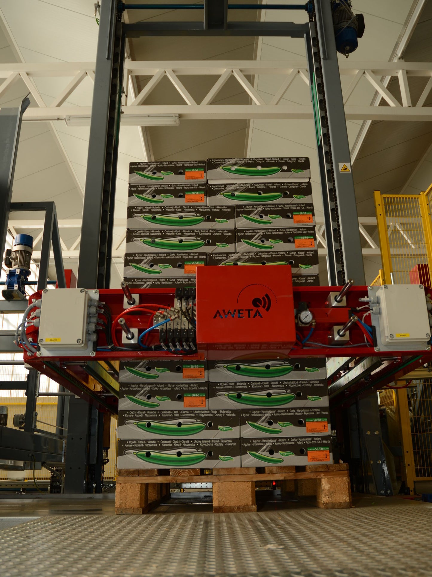 Aweta Cucumber Sorting and Packing Line