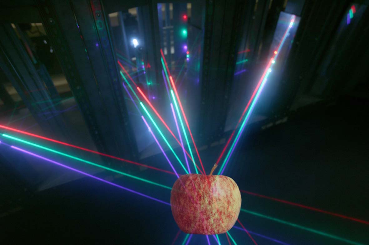 Aweta Apple Sorting and Packing Line