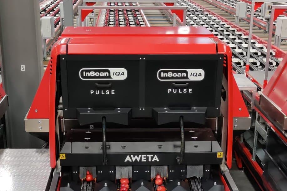 Aweta Apple Sorting and Packing Line