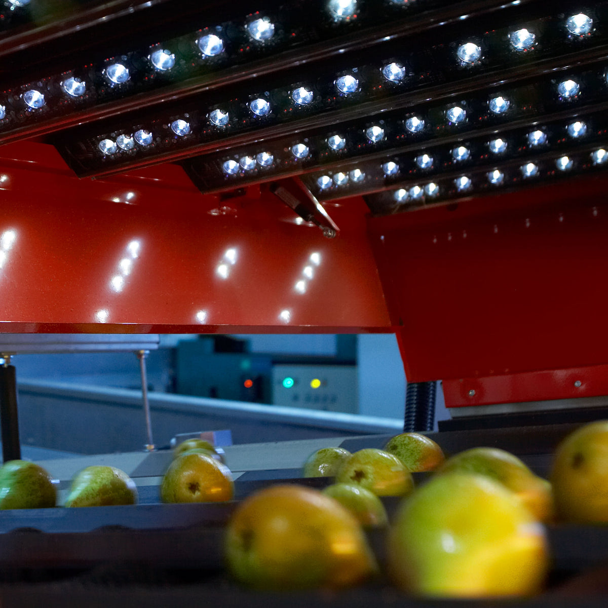 Aweta Aweta Pear Sorting and Packing Line – EVERGREEN