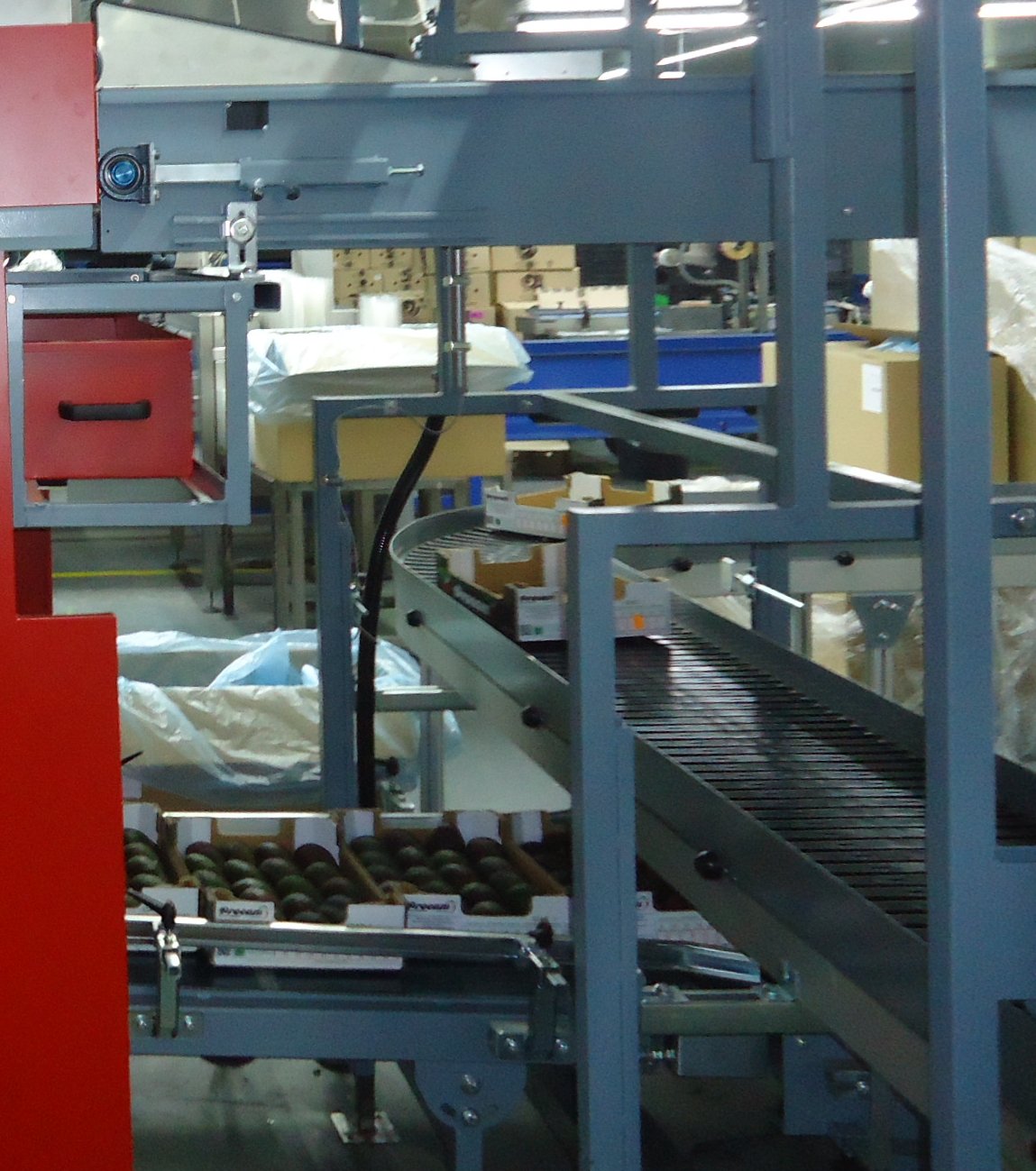 Aweta Avocado Sorting and Packing Line