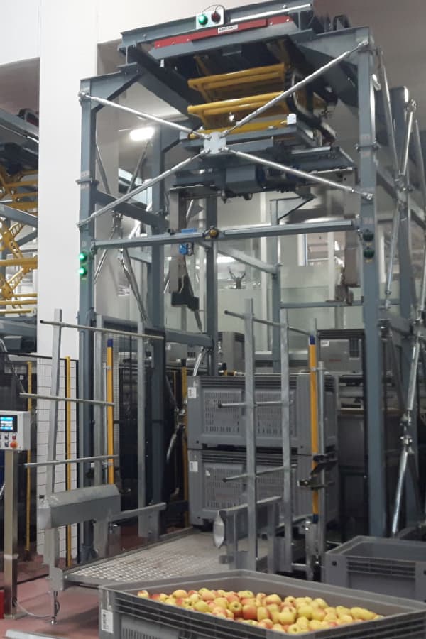 Aweta Apple Sorting and Packing Line