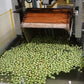 Aweta Pear Sorting and Packing Line