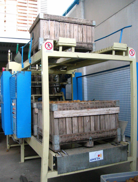 Aweta Kiwi Sorting and Packing Line