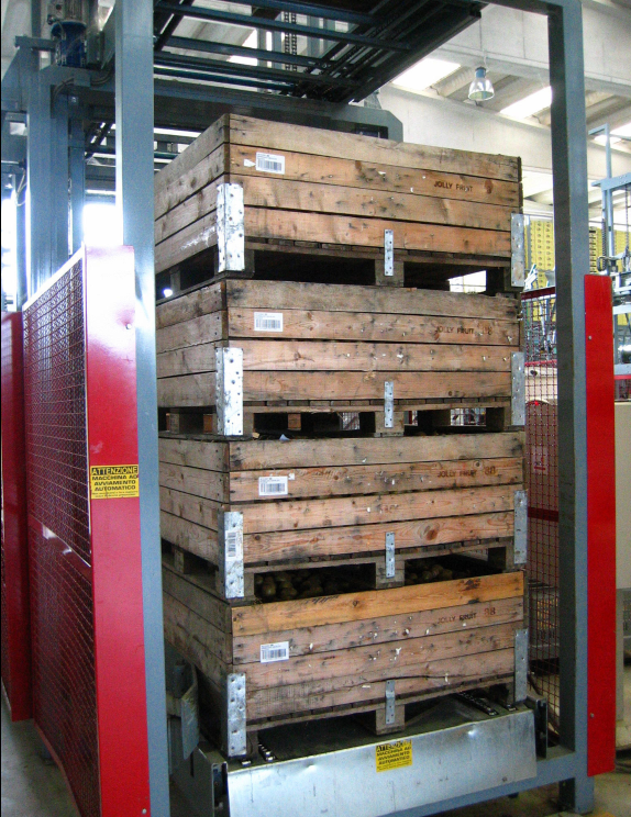 Aweta Kiwi Sorting and Packing Line