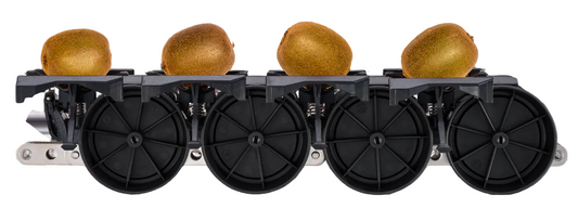 Aweta Kiwi Sorting and Packing Line