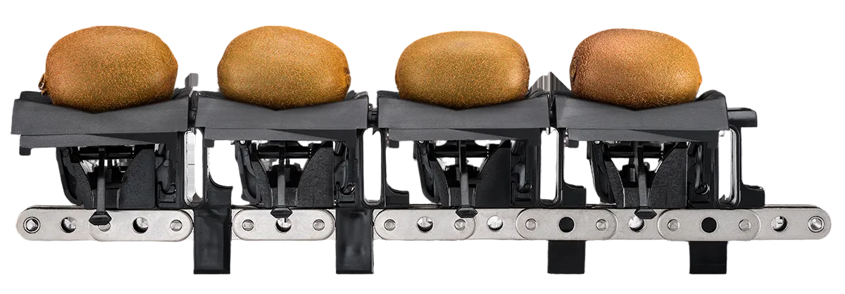 Aweta Kiwi Sorting and Packing Line